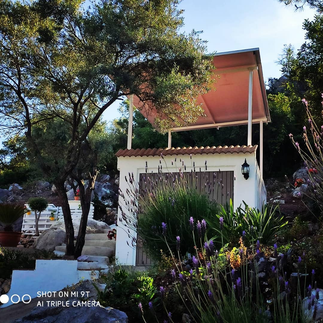 downloadgram.org_173690706_475536183879138_5452692100409832436_n